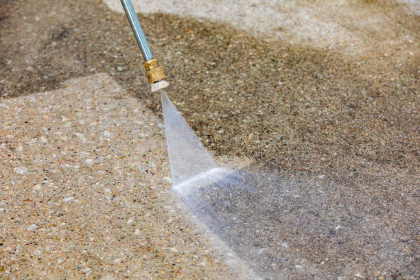 Animal Enclosure Cleaning in Freedom, CA